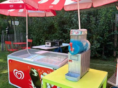 Le réfrigérateur extérieur, boissons fraîches et glaces à disposition.